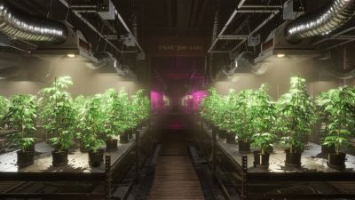 DRUG Schedule – кооперативный клон Schedule I с возможностью «кинуть» коллег по преступному бизнесу - coop-land.ru