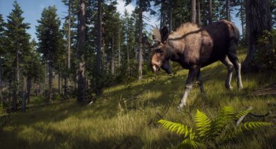 HandyGames анонсировали месяц релиза Way of the Hunter Mobile - app-time.ru