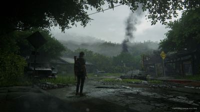 Судя по первым отзывам, ПК-порт TLOU2 получился довольно качественным - playground.ru