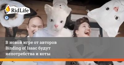 В новой игре от авторов Binding of Isaac будут непотребства и коты - ridus.ru