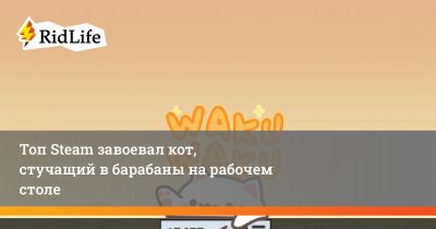 Топ Steam завоевал кот, стучащий в барабаны на рабочем столе - ridus.ru
