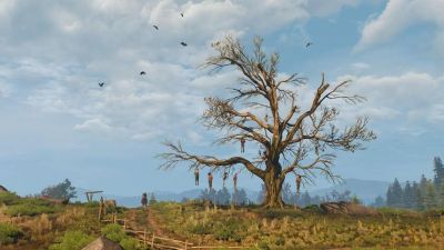 «Дуб Геральт» из The Witcher 3 хотят сделать памятником природы в Варшаве. Создана петиция - gametech.ru - Варшава