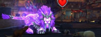 Игроки WoW выбирают тематическое имя для котенка - noob-club.ru