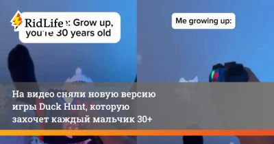 На видео сняли новую версию игры Duck Hunt, которую захочет каждый мальчик 30+ - ridus.ru
