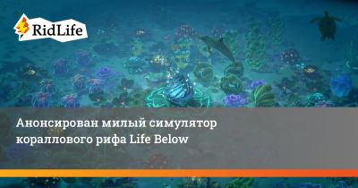Анонсирован милый симулятор кораллового рифа Life Below - ridus.ru