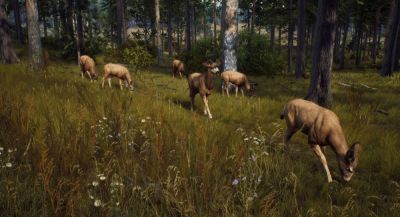 Состоялся релиз симулятора охотника Way of the Hunter: Wild America - app-time.ru - Сша - Россия