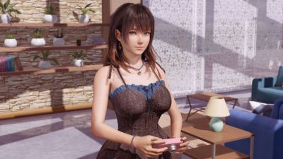 Продюсер Dead or Alive Xtreme Venus Vacation удивлён любовью фанатов за пределами Японии - playground.ru - Сша - Япония