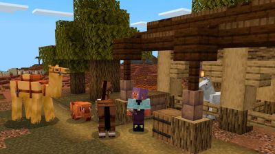 Как создать седло в Minecraft? - itndaily.ru - Россия