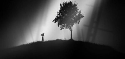 Патти Дино - Сооснователь Playdead обвиняет студию в попытке стереть его вклад в Limbo и Inside - gametech.ru - Сша