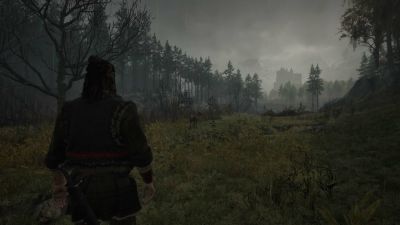 "The Witcher 3 с болячками" - Геймеры оценили демонстрацию The Blood of Dawnwalker - playground.ru