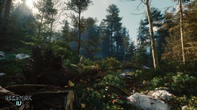 В The Witcher 4 будет реализована максимально реалистичная геометрия и растительность - playground.ru