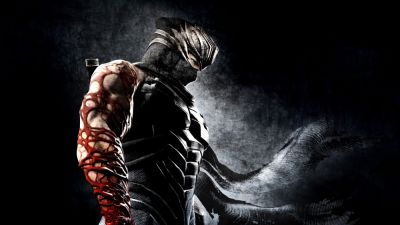Ninja Gaiden - PC-версия Ninja Gaiden 3: Razor's Edge получила текстовый русификатор - playground.ru