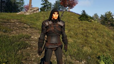 Ремастер TES 4 Oblivion получил кроссовер-квест по The Witcher — с возможностью «стать ведьмаком» - gametech.ru