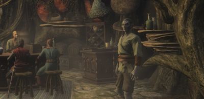 Новые скриншоты Skywind, ремейка Morrowind на движке Skyrim. Представлена «Дыра в Стене Фары» - gametech.ru - Франция