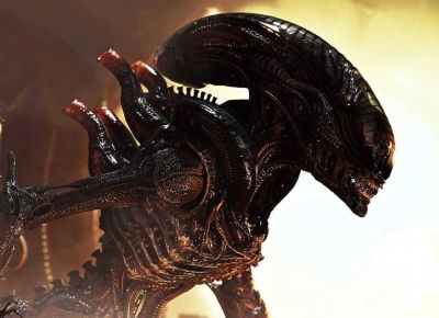Prime 1 Studio открыла предзаказ на дорогостоящую статую обожжённого ксеноморфа из фильма «Чужой: Ромул» - gametech.ru