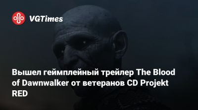 Вышел геймплейный трейлер The Blood of Dawnwalker от ветеранов CD Projekt RED - vgtimes.ru