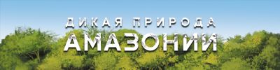 "Дикая природа Амазонии" – на CrowdRepublic - hobbygames.ru - Россия - Египет