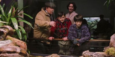 Гарри Поттер - Джоан Роулинг - Кейси Блойс - В сеть утекли фотографии со съемок "Гарри Поттера" с Дурслями - playground.ru