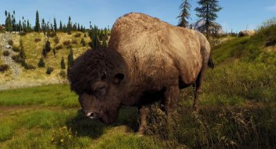 В Way of the Hunter: Wild America можно бесплатно поиграть 1 час - app-time.ru