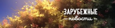 Gamefound приобрела Indiegogo - hobbygames.ru