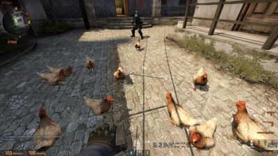 В Counter-Strike 2 могут появиться ставки и куриные скины - куриц можно будет рассматривать, как оружие - playground.ru