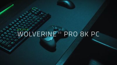 Razer представила киберспортивный геймпад Wolverine V3 Pro 8K с нулевой задержкой - playground.ru