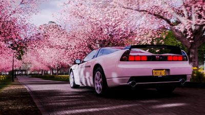 Похоже, Forza Horizon 6 отправит игроков в Японию — фанаты ждали этого годами - 3dnews.ru - Сша - Австралия - Япония
