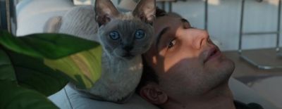 Arteezy: «Матчмейкинг сейчас в худшем состоянии за всю историю. Я бы хотел подождать патч, прежде чем играть» - dota2.ru