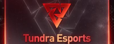 Tundra Esports завершила выступление на The International 2025 - dota2.ru