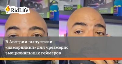 В Австрии выпустили «намордники» для чрезмерно эмоциональных геймеров - ridus.ru - Австрия