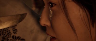 Анонсирована неофициальная русская озвучка Silent Hill f для ПК - gamemag.ru