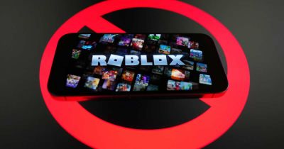 Роскомнадзор не видит оснований для разблокировки Roblox - ren.tv - Россия