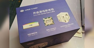 AMD готовит к продаже комплекты с процессором Ryzen 7 9850X3D и памятью DDR5 - playground.ru - Сша