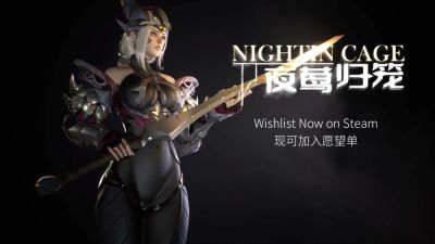 "Просто качественная анимация подъёма по лестнице": в Steam набирает популярность экшен NIGHTIN CAGE - playground.ru - Сша - Китай - Корея