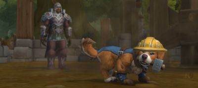 Скоро в продаже появится благотворительный питомец для WoW – Плотникус - noob-club.ru