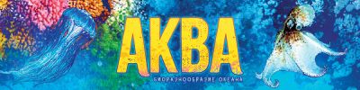 Коралловый рай на ваших столах. И создаёте его вы! - hobbygames.ru - county Ocean