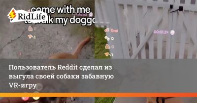 Пользователь Reddit сделал из выгула своей собаки забавную VR-игру - ridus.ru