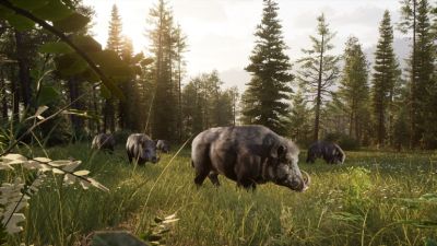 Way of the Hunter 2 – улучшенный охотничий симулятор в дикой природе канадской глуши - coop-land.ru - Канада