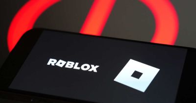 Мужчина получил 11 лет за совращение девочки в Roblox - ren.tv - Сша - New York - Лос-Анджелес - Чили - Сантьяго