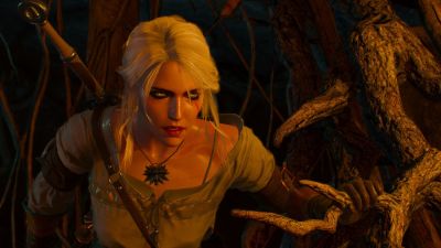 Польский инсайдер подтверждает, что будущее DLC для The Witcher 3 добавит целый регион - playground.ru - Польша