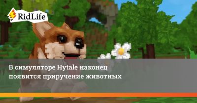В симуляторе Hytale наконец появится приручение животных - ridus.ru