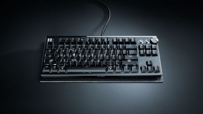 Razer выпустит лимитированную клавиатуру Huntsman Signature Edition за $500 с корпусом из алюминия и ручной полировкой - playground.ru