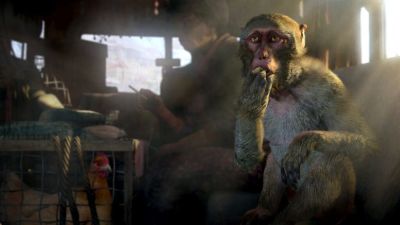 Ив Гиймо - Глава Ubisoft: разработка новых частей Assassin’s Creed и Far Cry уже ведётся - itndaily.ru