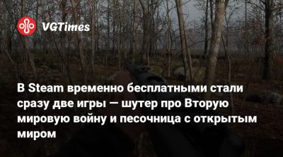 В Steam временно бесплатными стали сразу две игры — шутер про Вторую мировую войну и песочница с открытым миром - vgtimes.ru