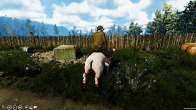 Открыт бесплатный доступ к Farmer's Life и Hell Let Loose - coop-land.ru