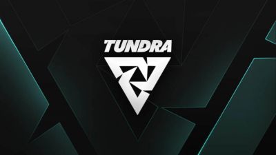 Tundra одолела BetBoom Team на DreamLeague 28 по Dota 2 - worldgamenews.com