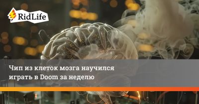 Чип из клеток мозга научился играть в Doom за неделю - ridus.ru - Австралия