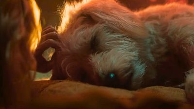 Новый тизер "Супергёрл" покажут на Puppy Bowl - playground.ru