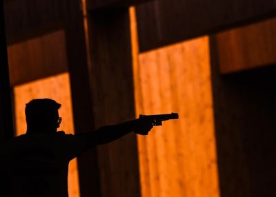 Компьютерные игры помогут при реальной стрельбе - ученые - korrespondent.net - Япония