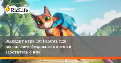 Выходит игра Cat Parents, где вы спасаете бездомных котов и заботитесь о них - ridus.ru